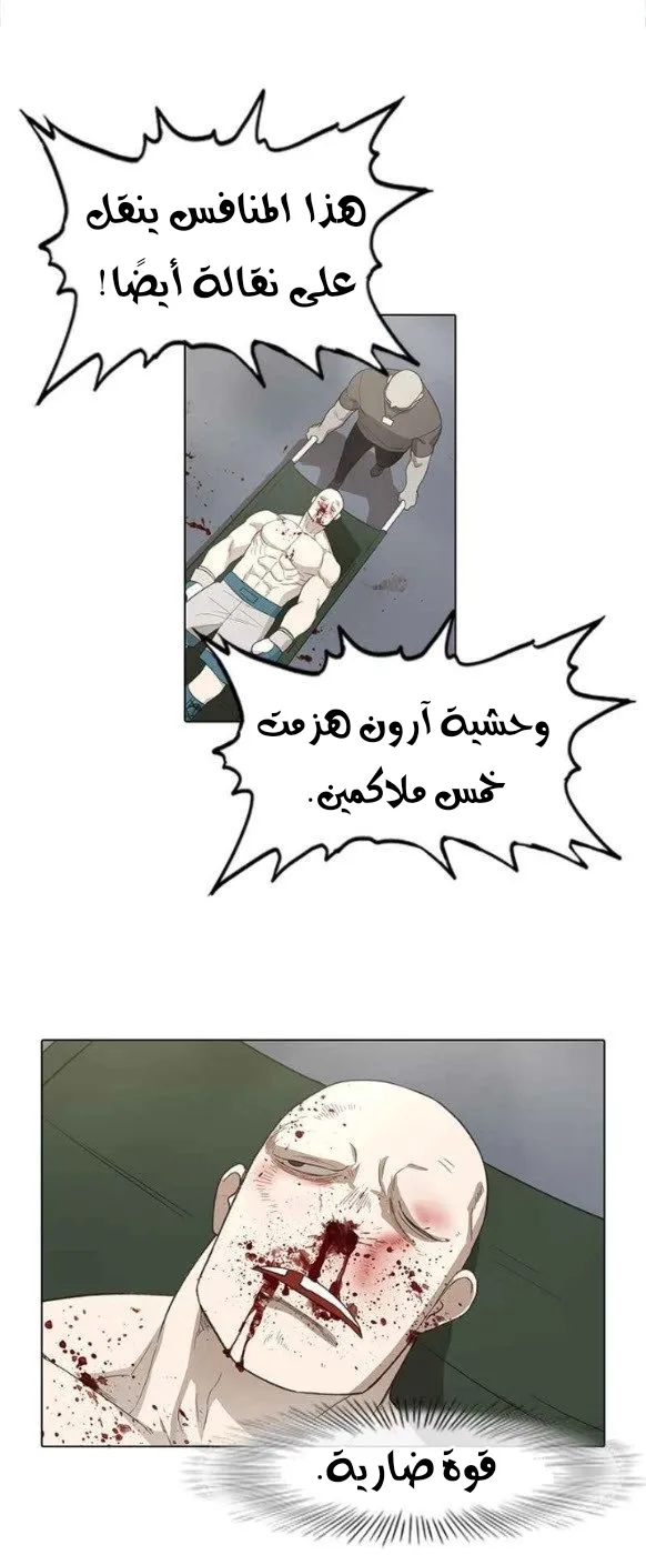 الصفحة 43 من 56
