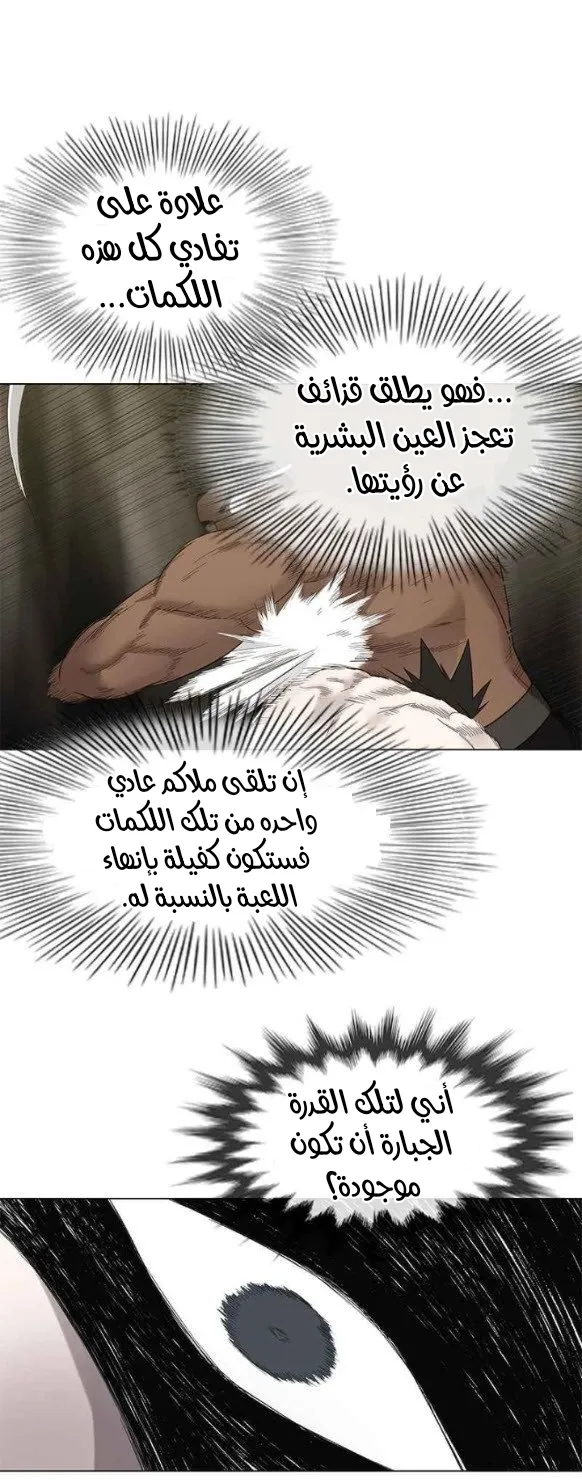 الصفحة 24 من 56