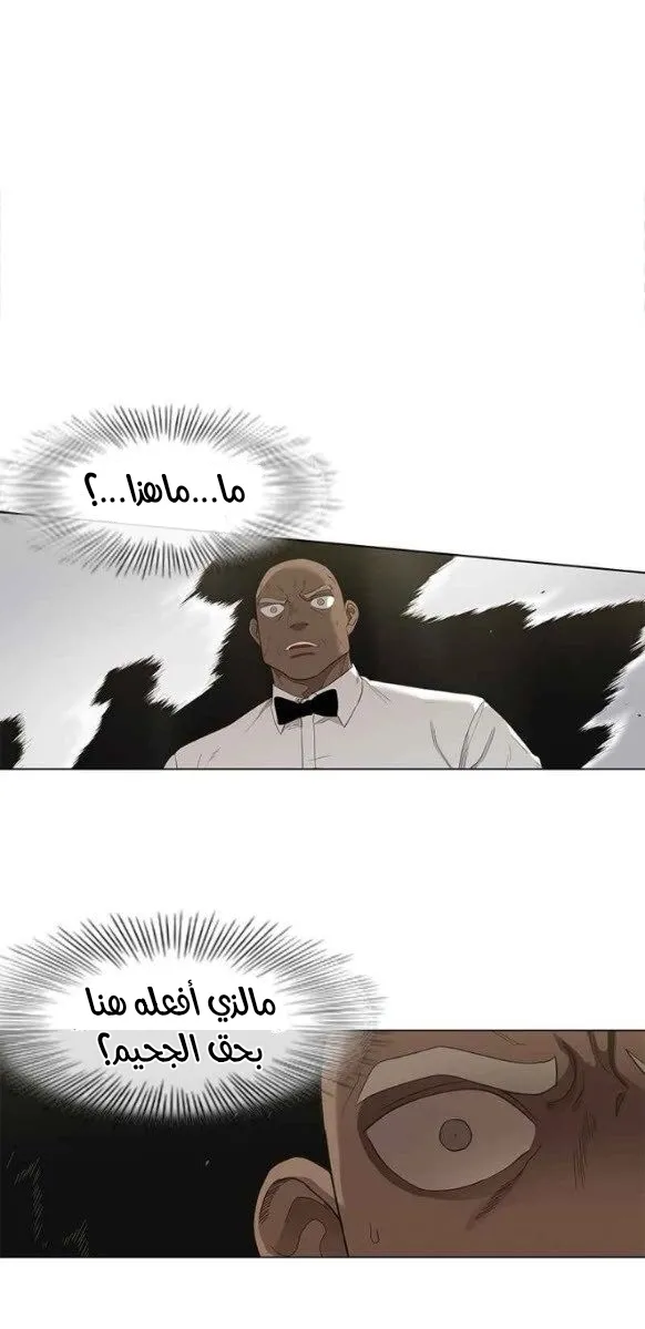 الصفحة 16 من 56