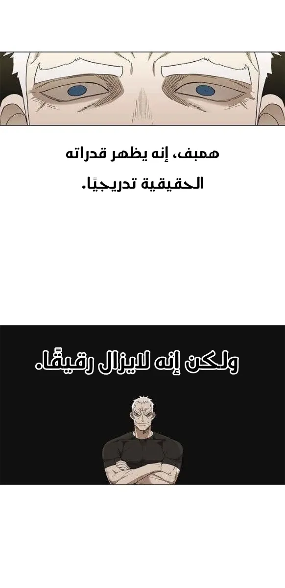 الصفحة 33 من 56