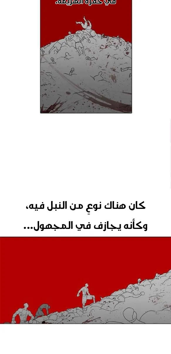 الصفحة 46 من 56