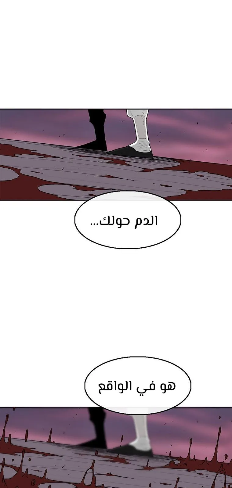 الصفحة 49 من 80