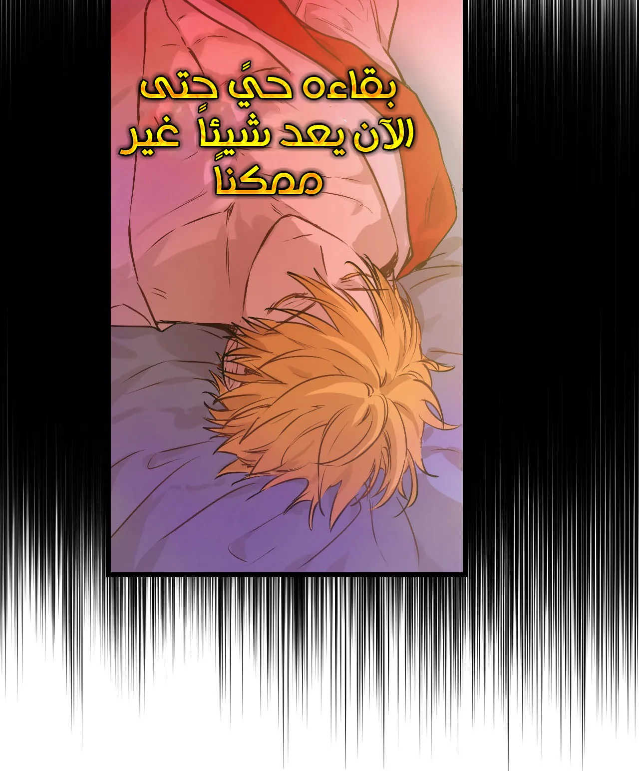 الصفحة 12 من 99