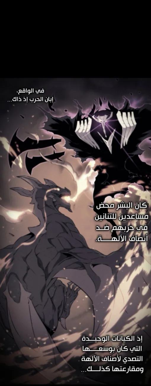 الصفحة 19 من 46