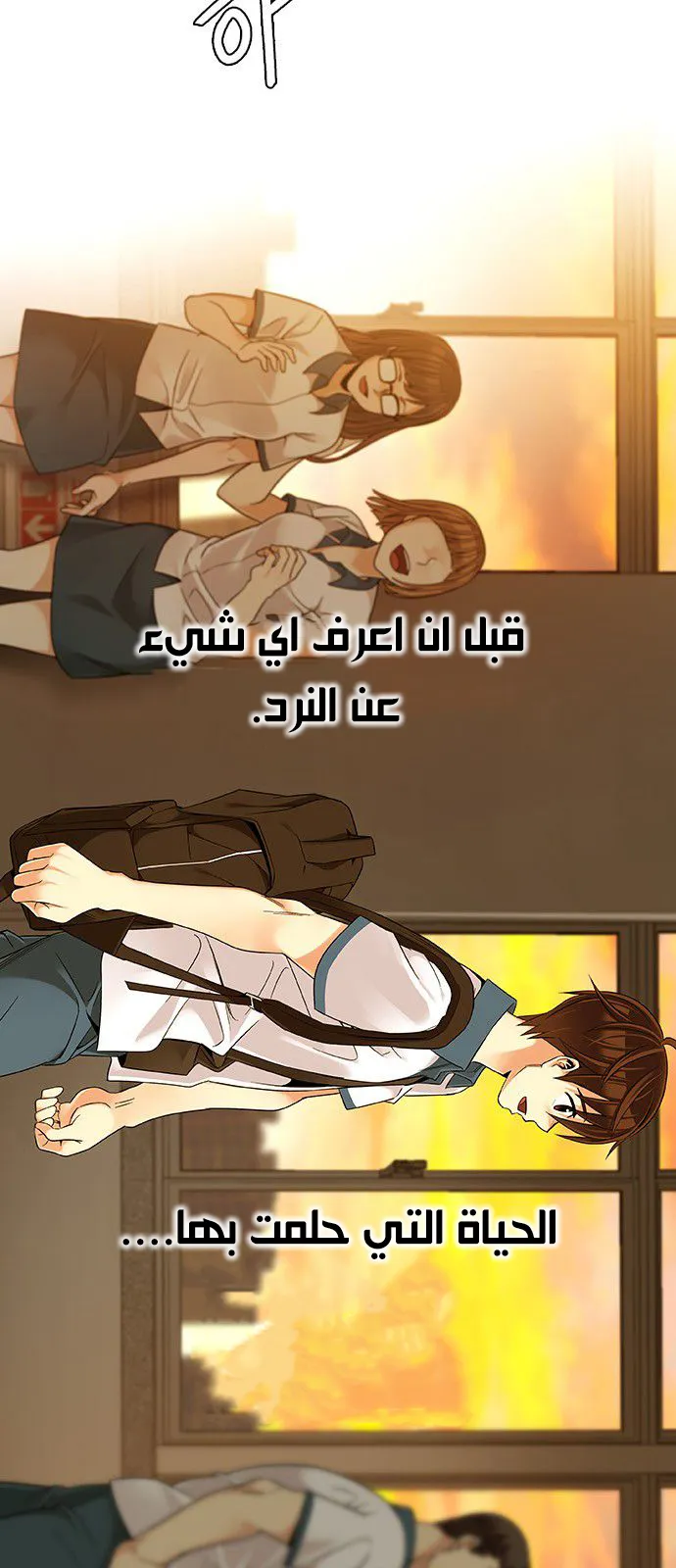الصفحة 46 من 65