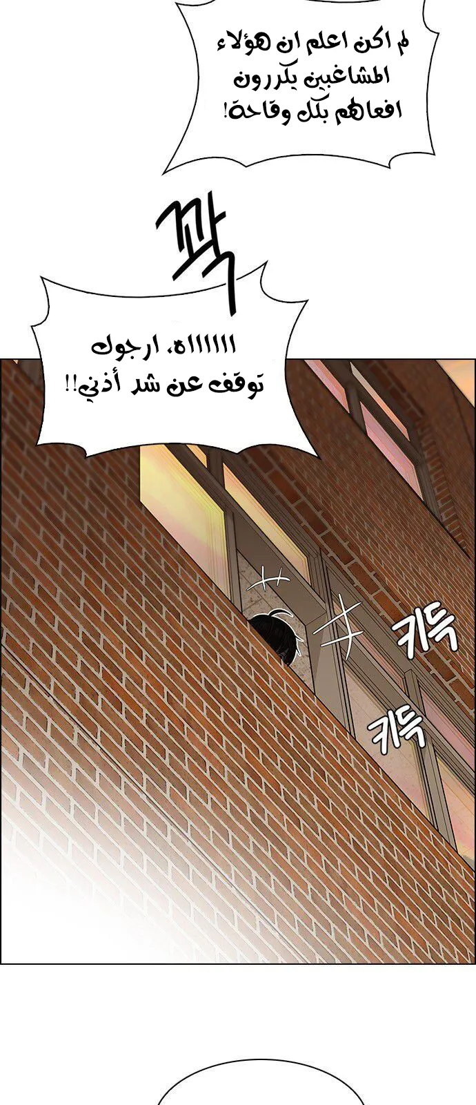الصفحة 41 من 65