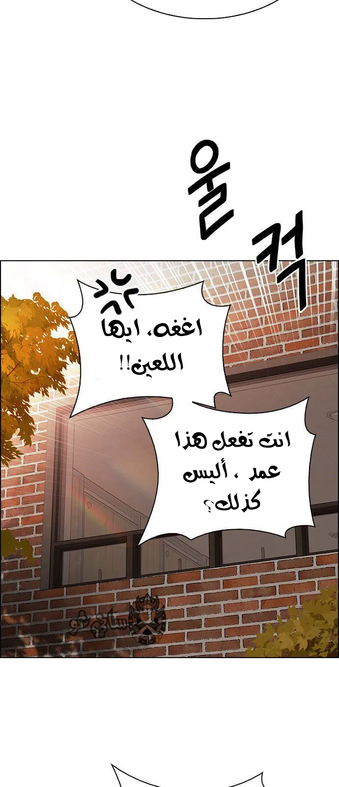 الصفحة 24 من 65