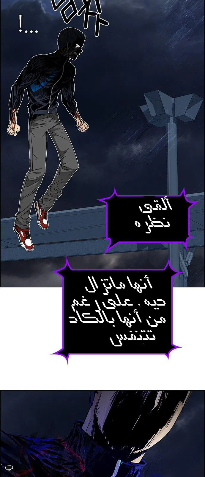 الصفحة 22 من 55
