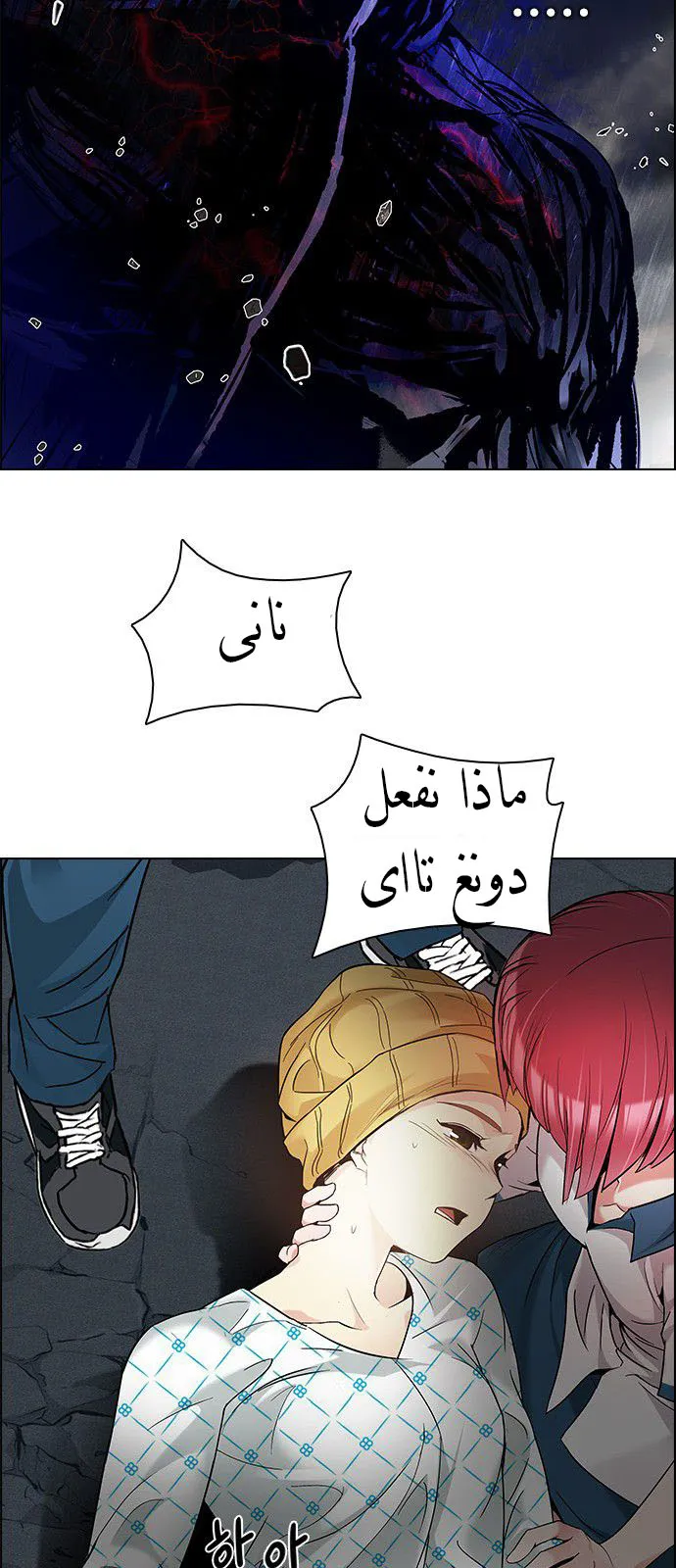 الصفحة 23 من 55