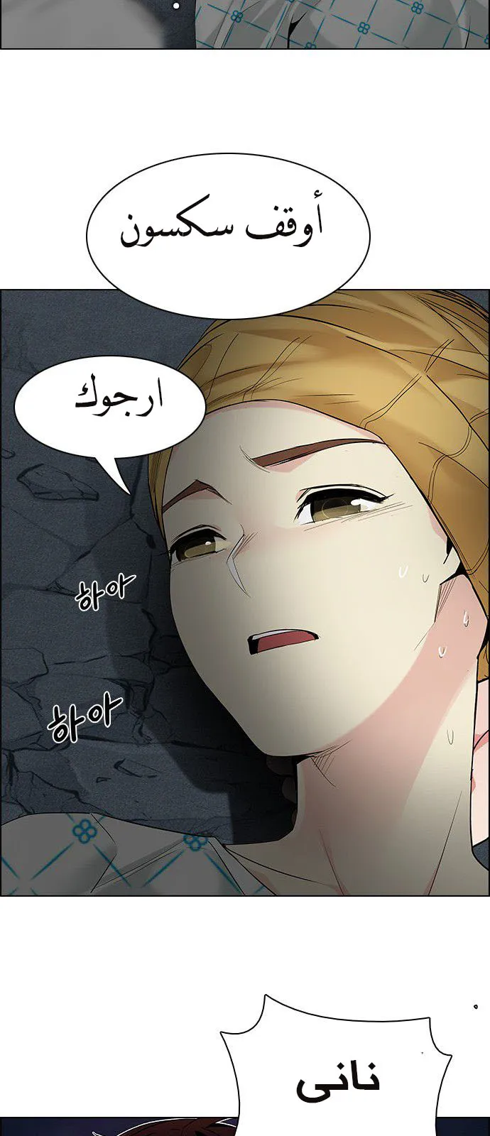 الصفحة 27 من 55