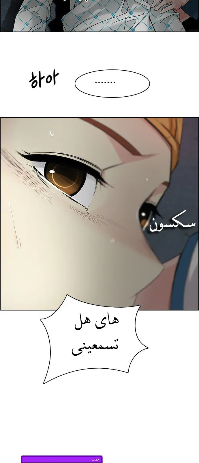 الصفحة 24 من 55