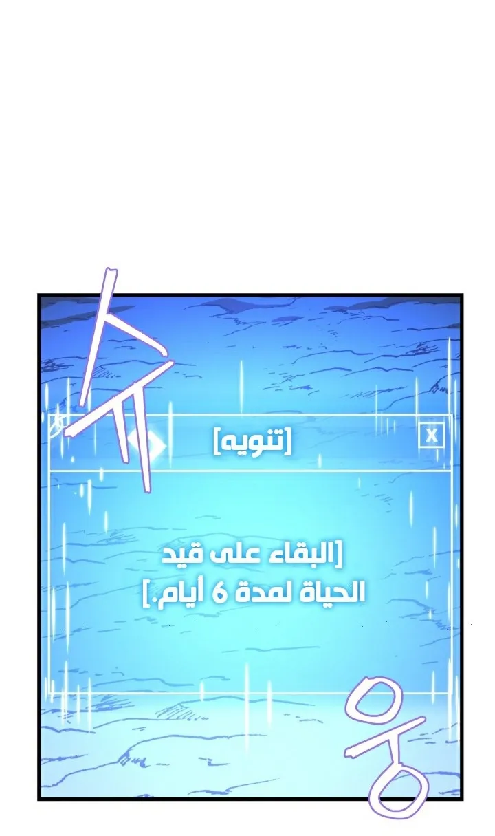 الصفحة 60 من 81