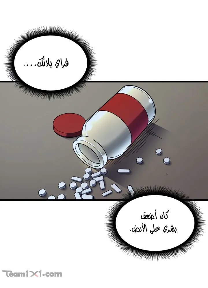 الصفحة 68 من 78