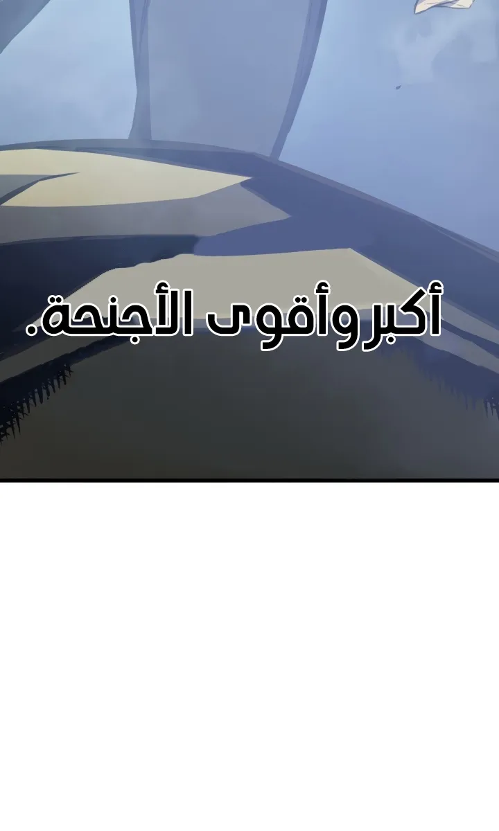 الصفحة 61 من 78